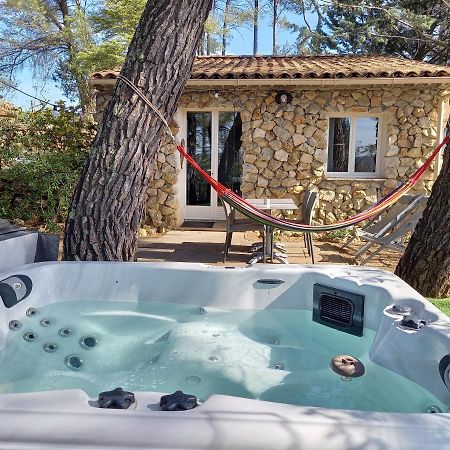 Gite Avec Spa Jacuzzi Au Coeur De Provence Cote D'Azur Saint-Antonin-du-Var エクステリア 写真