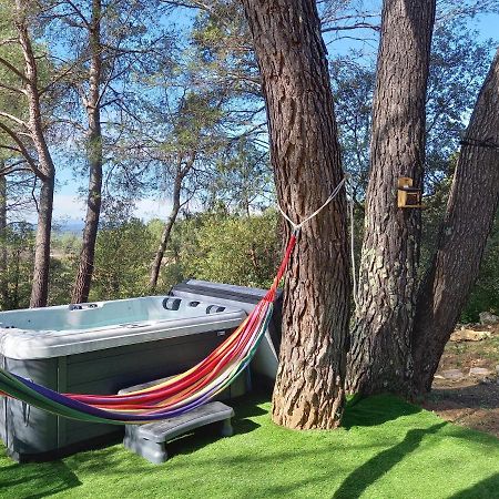 Gite Avec Spa Jacuzzi Au Coeur De Provence Cote D'Azur Saint-Antonin-du-Var エクステリア 写真