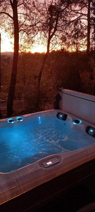 Gite Avec Spa Jacuzzi Au Coeur De Provence Cote D'Azur Saint-Antonin-du-Var エクステリア 写真